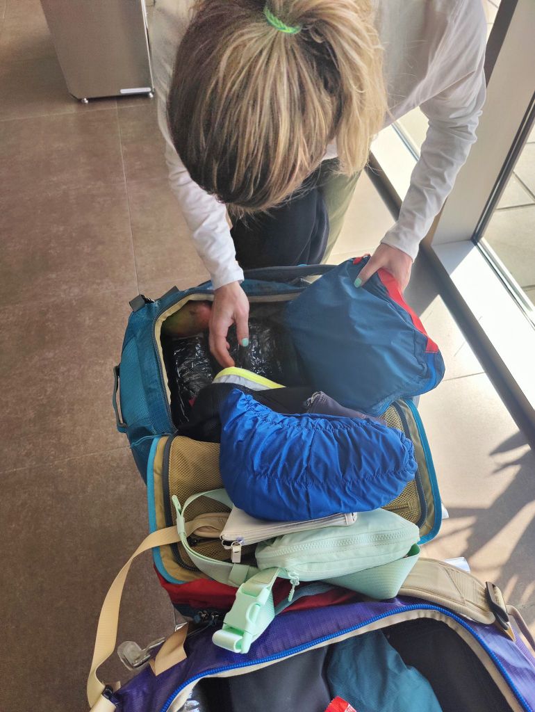 Can you spot the mango?